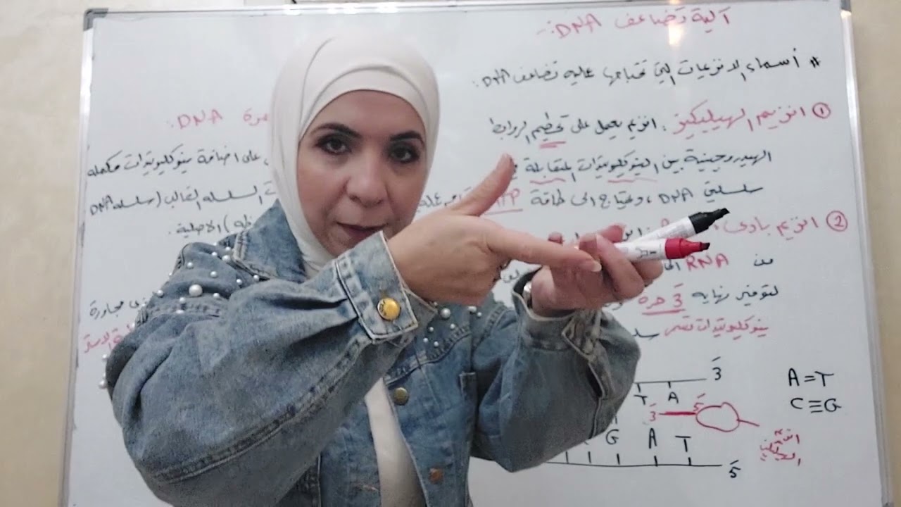 توجيهي المنهاج الجديد/وحدة٢/درس٣/حصة٢/آلية تضاعف DNA