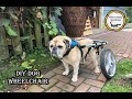 DIY Dog Wheelchair // How-To