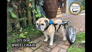 DIY Dog Wheelchair // How-To