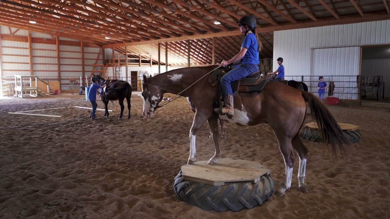 Horse Show Highlight Video