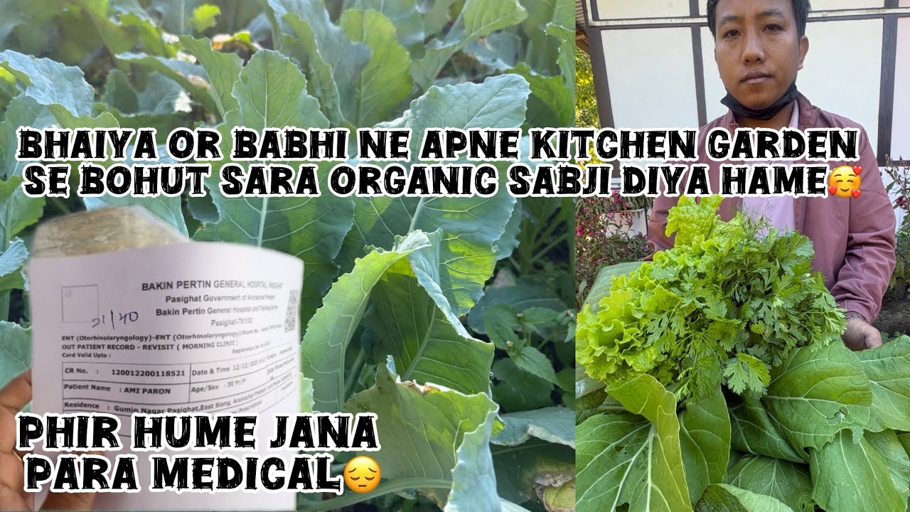Vlog84||we received lots of organic vegetables||medical jana kitna boring hai🤦🏻‍♀️