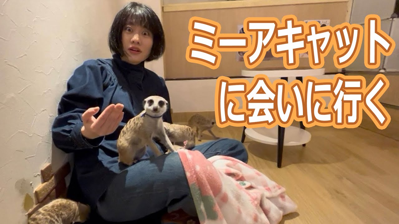 さとなかほがらか ミーアキャットカフェへ行く