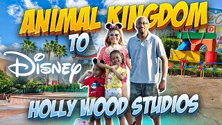 Animal Kingdom To Holly Wood Studios Part 2