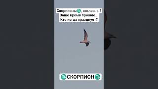 Скорпион♏ #скорпион #зодиак #знакзодиака #гороскоп #астролог #цитаты #motivation #мотивация