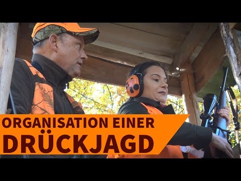 Drückjagd 2018: wie