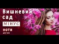Українська народна пісня Вишневий сад ноти та мінус