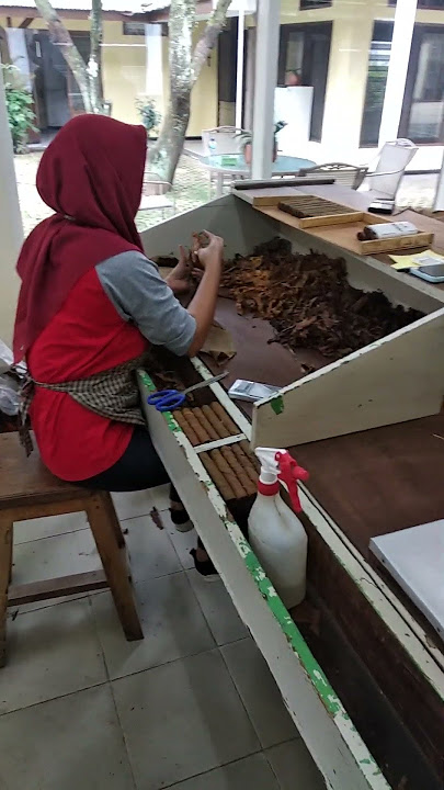 berkunjung ke pabrik Rokok Cerutu Besuki Raya Cigar Jember #jember