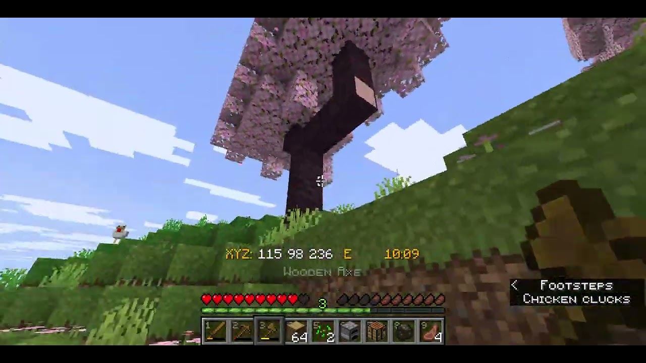 Shod's Forever Survival World EP 1 (VILLAGE)