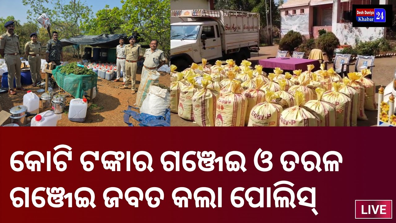 କୋଟି କୋଟି ଟଙ୍କାର ଗଞ୍ଜେଇ ଓ ତରଳ ଗଞ୍ଜେଇ ଜବତ କଲା କୋରାପୁଟ ପୋଲିସ୍ @DeshDuniyaKhabar24 
