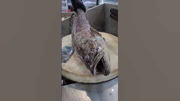 Grouper Fish Cutting Skills#shorts