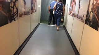 Ankara Esenboğa Airport Walking From Arrival Gate To Baggage Claim