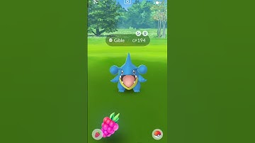 Catching a Shiny Gible #pokemongo #shorts #gible