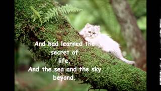The Kinks - Phenomenal Cat (with lyrics ), From YouTubeVideos