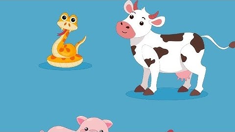 BrainUp level 16 Solution Walkthrough