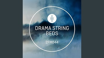 Searching for Meaning