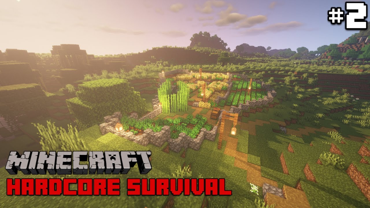 THE FARM AND PATHS: Episode 2 - Minecraft 1.15 Hardcore Survival
