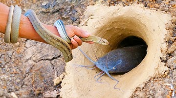 Unbelievable Fishing Technique - Use A Snake To Catch Fish In A Pit Deep In The Ground #Fishing2022