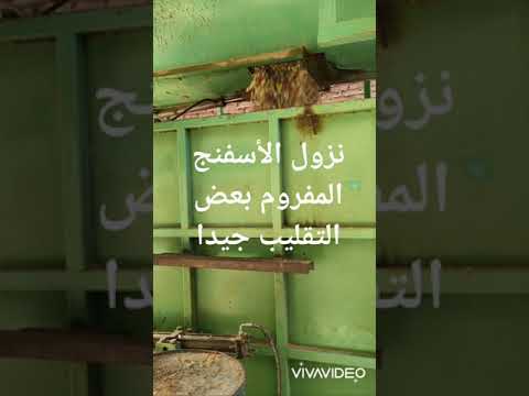 شاهد كيف يتم صناعه الأسفنج الطبي المضغوط الريبوند