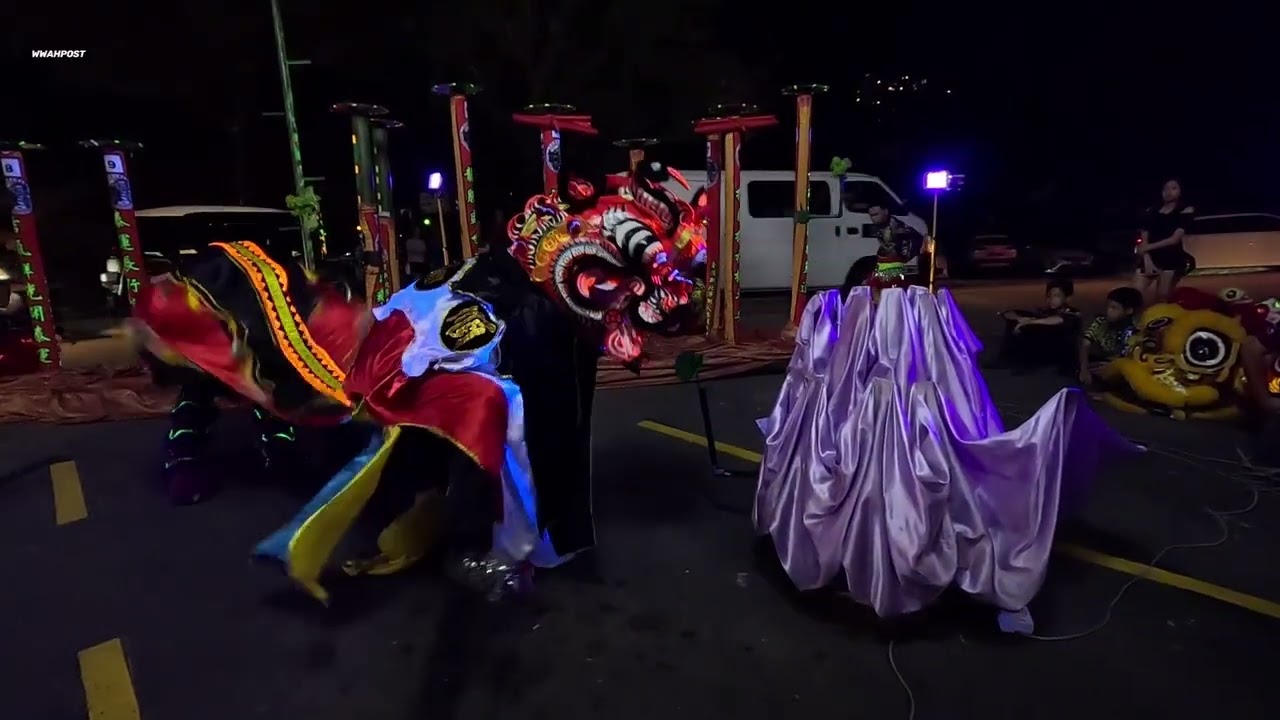 2026 CNY Cheng Fei Shop blessing Dragon Unicorn and lion dance performance