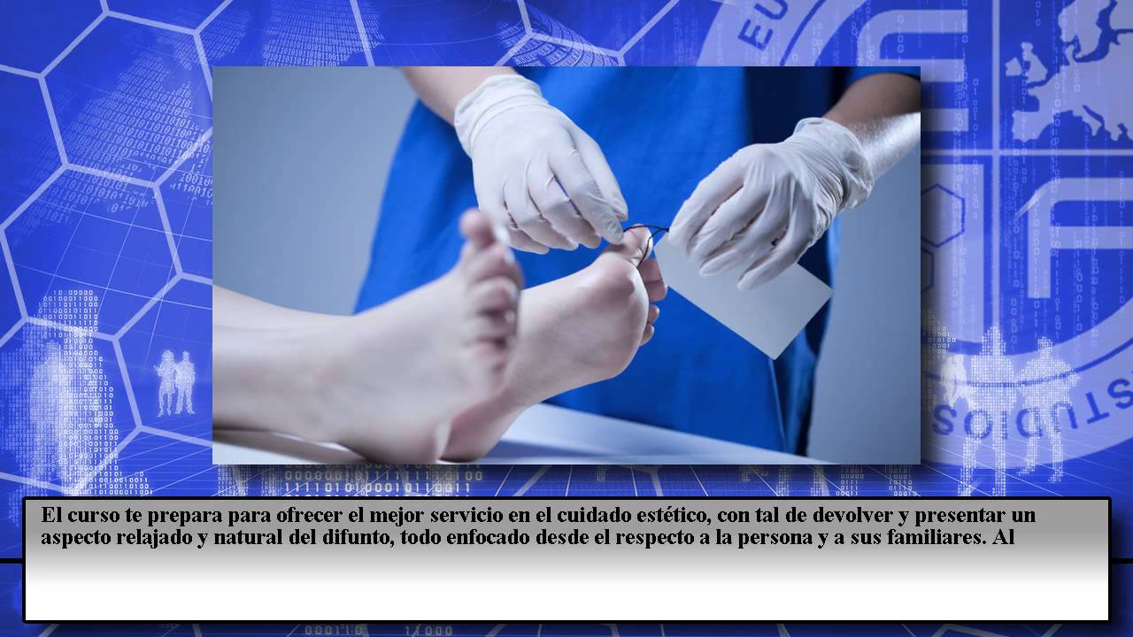 Cursos Youtube Online Euroinnova Cursos Youtube Online Euroinnova