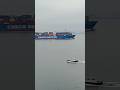 COSCO SHIPPING CONTAINER SHIP | Loaded Containers Ship #tugboat #cosco #containership #ship #vessel