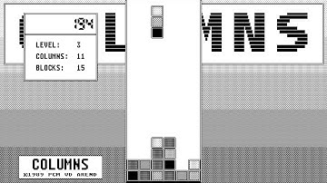 ATARI ST Columns 1989 By PCM VD AREND version, Paul & Marja (NOT SURE) no publisher LOOK ATARIMANIA