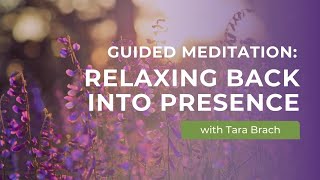 Relaxing Back into Presence | A Guided Meditation with Tara Brach Profile