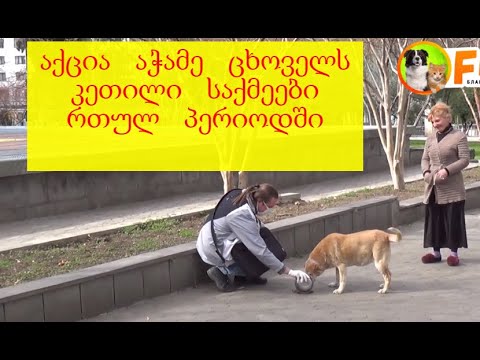 აქცია   აჭამე ცხოველს კეთილი საქმეები რთულ პერიოდში