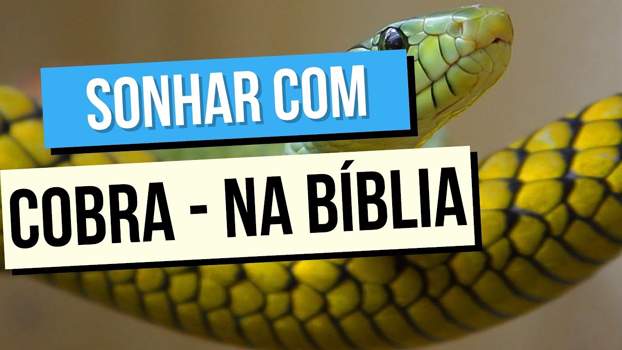 Sonhar com cobra significado bíblico: saiba sobre isso!