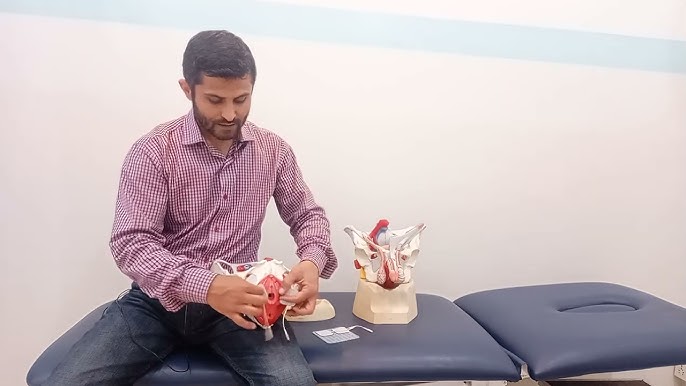 Porno erogen zonalarni elektrostimulyatsiya qilish