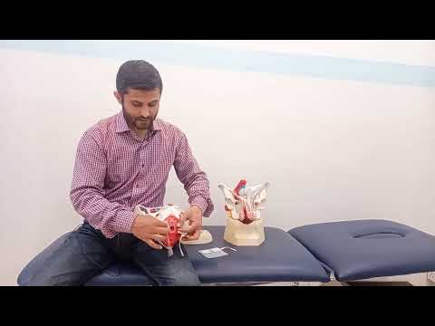 Electric Stimulation for the Pelvic Floor Muscles