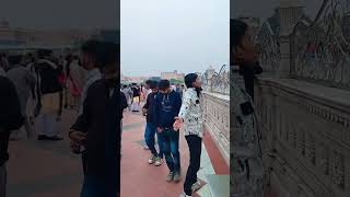 🥀 RADHE BRAJ JAN MAN SUKHKARI VINDABON PREM MONDIR STATUS 🪈#shorts #viral #new #radhakrishna 💕