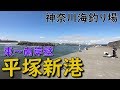 神奈川釣り場 平塚新港 南岸壁 東岸壁 サビキ釣り クロダイ アジング ルアー 夜釣り アジ カサゴ シーバス 堤防釣り MANCING MANIA JAPAN