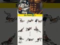 The Ultimate Six-Pack Abs Workout Routine at Home/Gum 💪 youtube short videos six pack Workout 🔥✅💪 👿