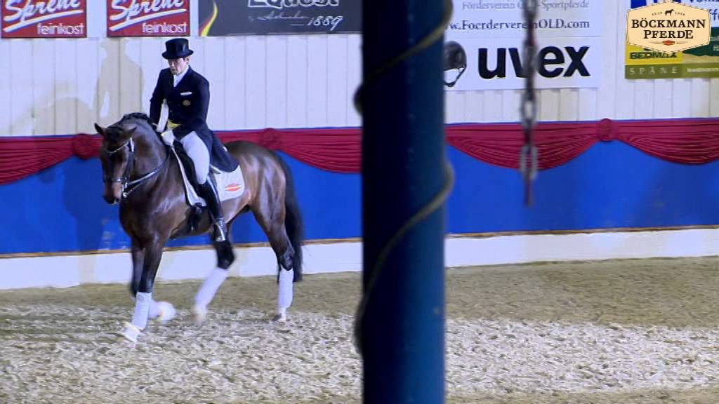 Fidertanz v. Fidermark, Althengstparade 2014 - Böckmann Pferde