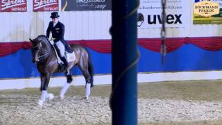 Fidertanz V. Fidermark, Althengstparade 2014 - Böckmann Pferde