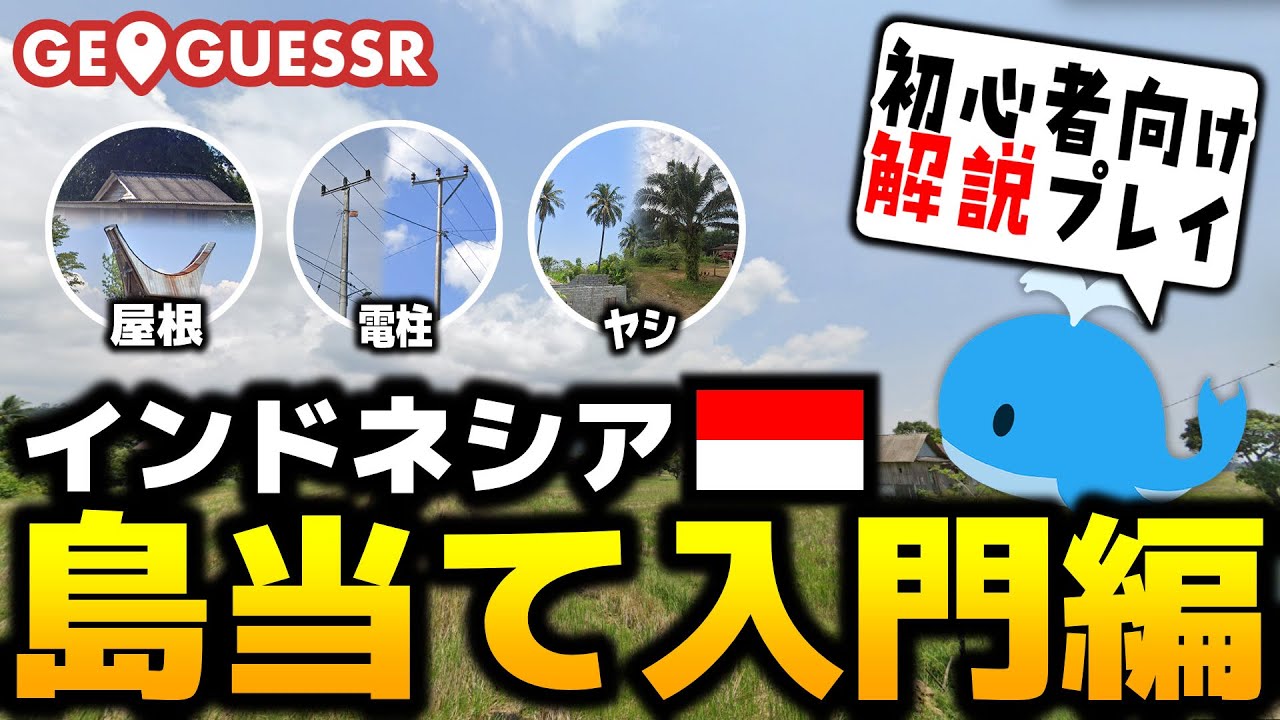 【GeoGuessr】インドネシア解説プレイ【入門】