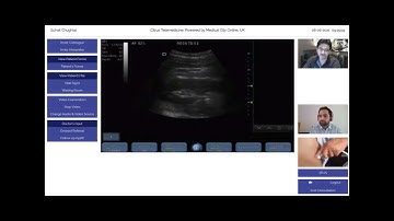 Renal Tele Ultrasonography - Remote Ultrasound Scanning of Kidney using ordinary machines