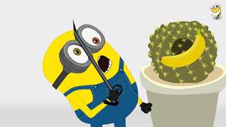 When The Toilet Occupied