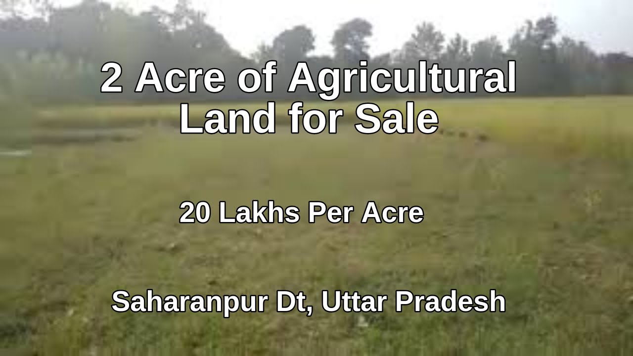Uttar Pradesh 2 Acre of Agricultural Land for sale located at Budha
