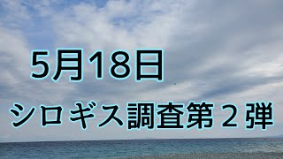 シロギス調査第2弾　 投げ釣り　月18日　No.42