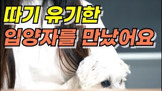 [단독인터뷰] '따기가 죽었다는 것은 확실한게 아니니까요' by 묘통령 Cat President 1,259 views 10 months ago 18 minutes