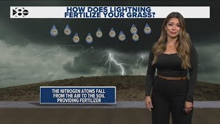 Can lightning fertilize your grass? Yes, this is how