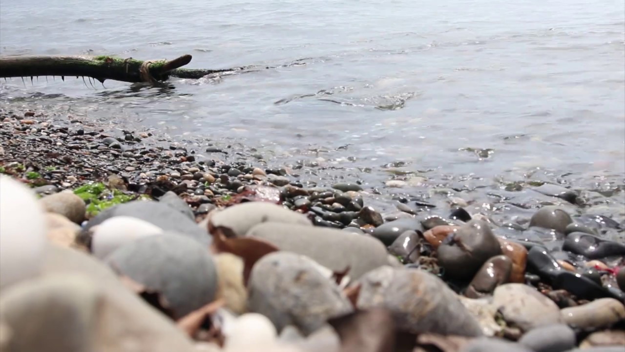 Гагра канализация в море Гагра канализация в море