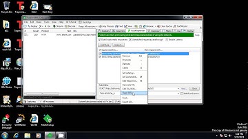 TRAPMINE vs Flash 0day (Angler Exploit Pack)