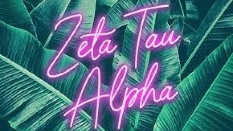 Introduction Video Spring 2021