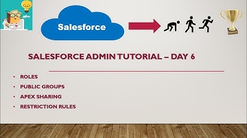 Record sharing in salesforce || Roles || Public Groups || Apex Sharing || Restriction Rules