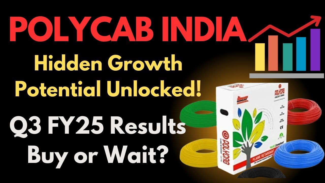 Big Investors Are Bullish on Polycab | Q3FY25 Results | Is it Right time to buy | Check Fundamentals