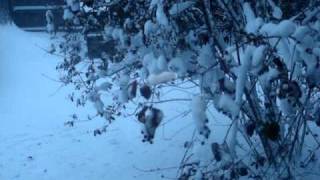 Noreaster 2010 Final Update