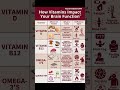 4 Vitamins Your Brain Needs | Vitamin D, B12, Omega-3, Quercetin Explained